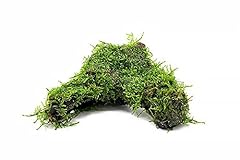Substratesource live aquarium for sale  Delivered anywhere in USA 