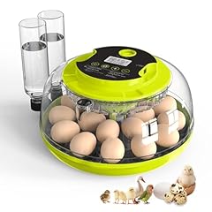 Incubator hatching eggs for sale  Delivered anywhere in USA 