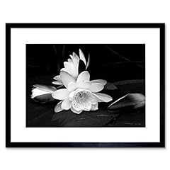 White flower bloom for sale  Delivered anywhere in USA 