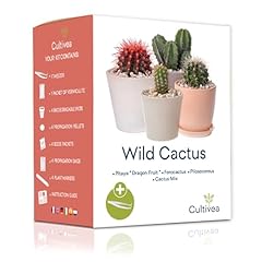 plantes cactus d'occasion  Livré partout en France