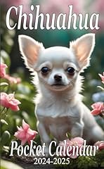 Chihuahua puppies pocket for sale  Delivered anywhere in USA 