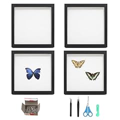 Pcs insect display for sale  Delivered anywhere in USA 