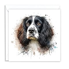 Springer spaniel black for sale  Delivered anywhere in UK