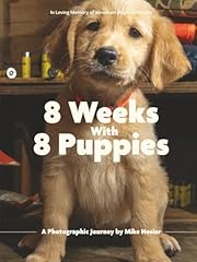 Weeks puppies photographic for sale  Delivered anywhere in USA 