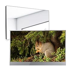 Soulaca inch smart for sale  Delivered anywhere in UK