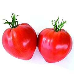 Semi pomodoro cuor usato  Spedito ovunque in Italia 