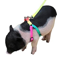 Mini pig adjustable for sale  Delivered anywhere in USA 