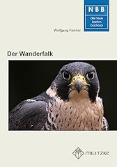 Wanderfalk falco peregrinus gebraucht kaufen  Wird an jeden Ort in Deutschland