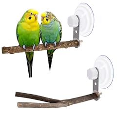 Pcs natural bird for sale  Delivered anywhere in USA 