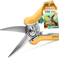 Grüntek colibri flower for sale  Delivered anywhere in UK