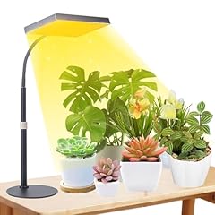 Fecida desk grow for sale  Delivered anywhere in USA 