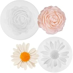 Pezzi stampi silicone usato  Spedito ovunque in Italia 