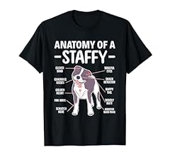 Anatomy staffy staffordshire for sale  Delivered anywhere in Ireland