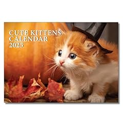 Cute kitten calendar for sale  Delivered anywhere in UK