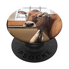 Jersey cow gifts for sale  Delivered anywhere in USA 