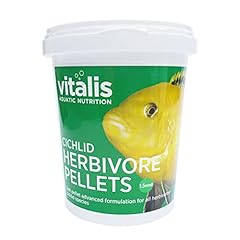 Vitalis cichlid herbivore for sale  Delivered anywhere in UK