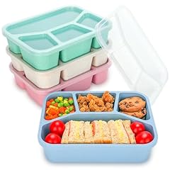 Lunchable container pack for sale  Delivered anywhere in USA 