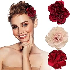 Lot pinces cheveux d'occasion  Livré partout en France