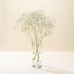 Morrisons gypsophila flowers for sale  Delivered anywhere in UK