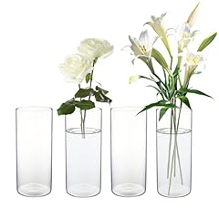 Chpindam glass cylinder for sale  Delivered anywhere in USA 