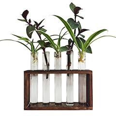 Reagenzgläser blumen wandvase gebraucht kaufen  Wird an jeden Ort in Deutschland
