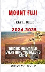 Mount fuji travel usato  Spedito ovunque in Italia 
