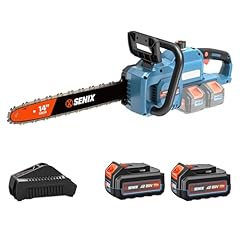 Senix 40v electric for sale  Delivered anywhere in USA 