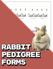 Rabbit pedigree forms for sale  Delivered anywhere in USA 