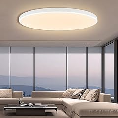Eacll deckenlampe led gebraucht kaufen  Wird an jeden Ort in Deutschland