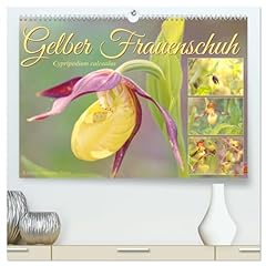 Gelber frauenschuh kunstdruck gebraucht kaufen  Wird an jeden Ort in Deutschland