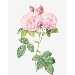 Artdirect italian damask for sale  Delivered anywhere in USA 
