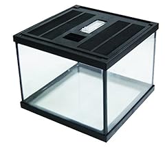 Reptiles planet terrarium d'occasion  Livré partout en France