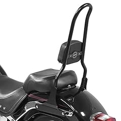 Sissy bar csxl gebraucht kaufen  Wird an jeden Ort in Deutschland