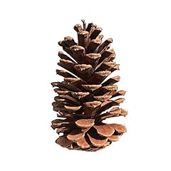 Christmas pinecone ornaments for sale  Delivered anywhere in USA 