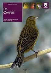 Canaris d'occasion  Livré partout en Belgiqu