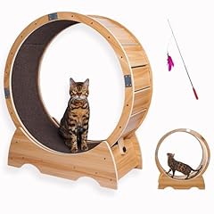 Odoxia cat wheel for sale  Delivered anywhere in UK