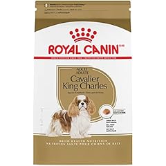 Royal canin cavalier for sale  Delivered anywhere in USA 