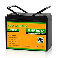 Eco worthy batteria usato  Spedito ovunque in Italia 