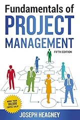Fundamentals project managemen for sale  Delivered anywhere in UK