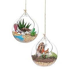 Hanging glass terrarium for sale  Delivered anywhere in USA 