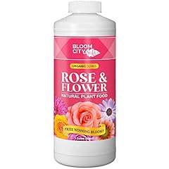 Rose flower natural for sale  Delivered anywhere in USA 