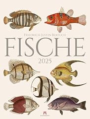 Fische kalender 2025 gebraucht kaufen  Wird an jeden Ort in Deutschland