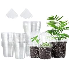 Bonviee packs 3.5 for sale  Delivered anywhere in USA 