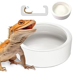 Ceramic reptile bowl for sale  Delivered anywhere in USA 