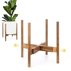 Fox fern large for sale  Delivered anywhere in USA 