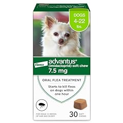 Advantus dog advantus for sale  Delivered anywhere in USA 
