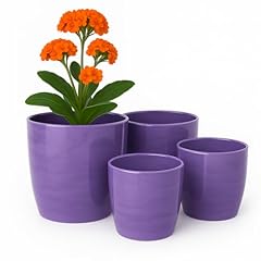Home garden ornaments usato  Spedito ovunque in Italia 