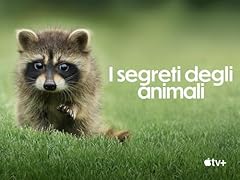 Segreti degli animali usato  Spedito ovunque in Italia 