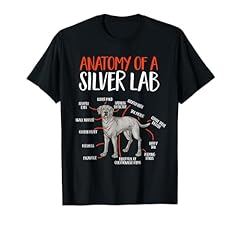 Silver labrador retriever for sale  Delivered anywhere in USA 
