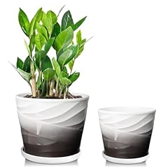 Yufda ceramic plant for sale  Delivered anywhere in USA 